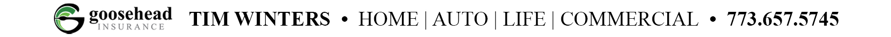 Banner 113 1138